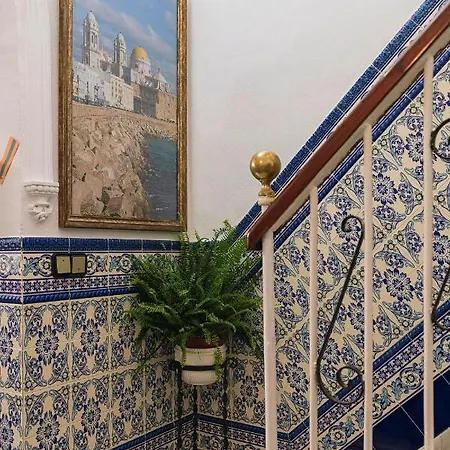 Colon Don Miguel Cádiz