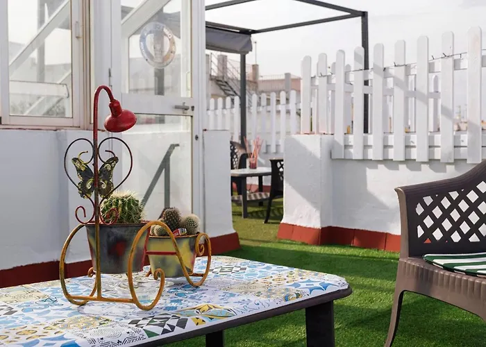 Colon Don Miguel * Cádiz