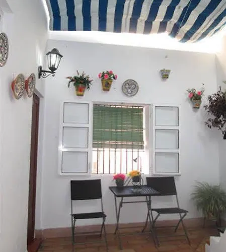 Colon Don Miguel Cádiz